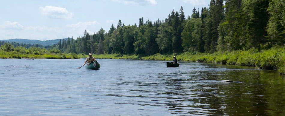 Allagash River Canoe Trips