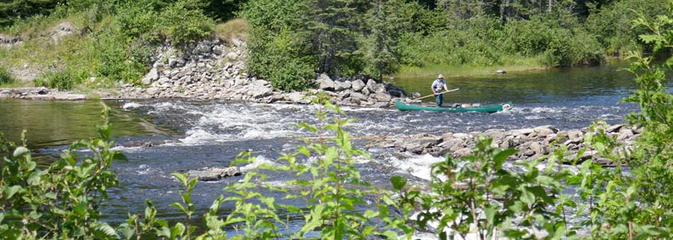 Canoe Trip on the Allagash Waterway, Maine